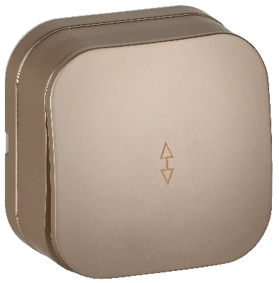 GLORY Выключатель 1-клавишный для открытой установки проходной 10А ВСп10-1-0-ХШм шампань матовый IEK