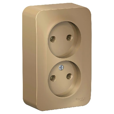 Розетка BLANCA наружная двойная, без заземления, без шторок, с изолирующей пластиной, 16А, 250В, титан Systeme Electric BLNRA000214