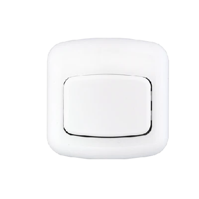 Беларусь Кнопка для звонков БелТИЗ А11- 894 Выключатель А1 1-894