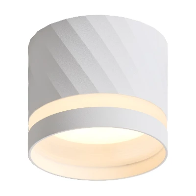 Светильник традиционный Down Light накладной под лампу GX53 IP20 Белый