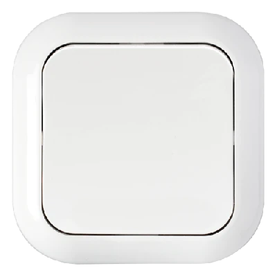 Беларусь Выключатель одноклавишный скрытый БелТИЗ С16-122 Выключатель ВС 1