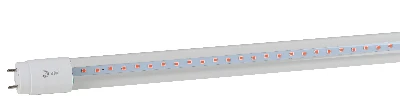 Фитолампа для растений светодиодная FITO-18W-RB-Т8-G13-NL и мясных прилавков 18 Вт Т8 G13 красно-синего спектра ЭРА Б0042990