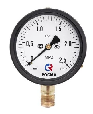 Вакуумметр радиальный ТВ-110Р.00 (-0.1-0 МРа) М10х1.0 кл.2.5 РОСМА 00000013098