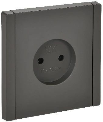FORTE&PIANO Розетка 1-местная без заземления без защитных шторок винтовое крепление 10А FP318 серый IEK