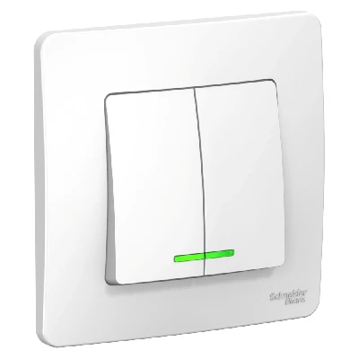 BLANCA скрытой установки двухклавишный выключатель (cх.5) с подсветкой, 10A, 250B, белый Systeme Electric BLNVS010511