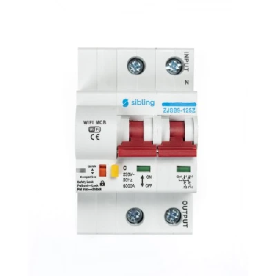 Умный автоматический выключатель (без расходомера) двухполюсный, 20А Sibling Powerswitch-A20 (2) 00-00012413