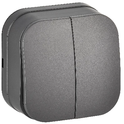 GLORY Выключатель 2-клавишный для открытой установки 10А ВС20-2-0-ХСм сталь матовый IEK