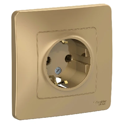 BLANCA скрытой установки розетка с заземлением без шторок, 16А, 250В, титан Systeme Electric BLNRS001014