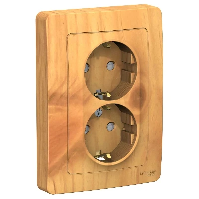 BLANCA скрытой установки розетка двойная с заземлением со шторками, 16А, 250В, ясень Systeme Electric BLNRS001125