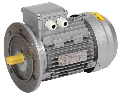 Электродвигатель трехфазный АИР 63B2 380В 0,55кВт 3000об/мин 3081 DRIVE ONI DRV063-B2-000-5-3030