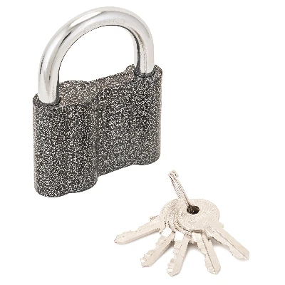 Замок навесной с цилиндровым механизмом секрета, АЛЛЮР ВС1Ч-460 серый ПТК Компания 1420