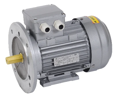 Электродвигатель трехфазный АИР 71B8 380В 0,25кВт 750об/мин 2081 DRIVE ONI DRV071-B8-000-3-0720