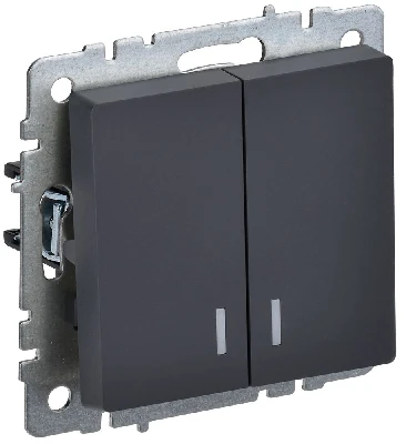 BRITE Выключатель двухклавишный с индикацией 10А ВС10-2-1-БрГ графит IEK BR-V20-1-10-K53