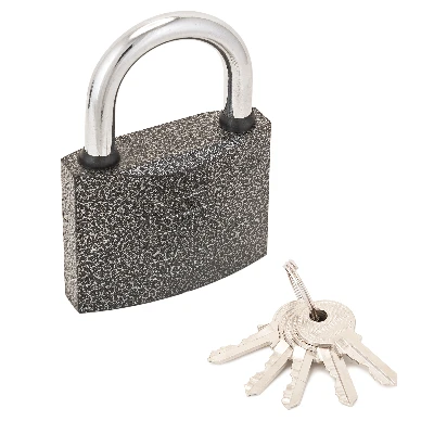 Замок навесной с цилиндровым механизмом секрета, АЛЛЮР ВС1Ч-350 серый ПТК Компания 1408