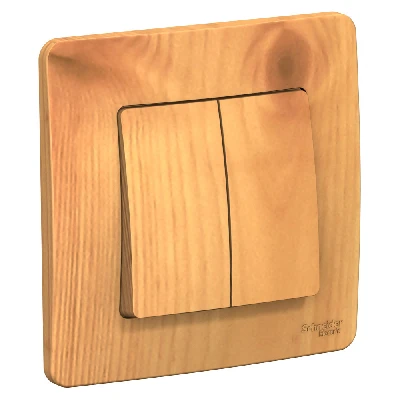 BLANCA скрытой установки двухклавишный выключатель (cх.5), 10A, 250B, ясень Systeme Electric BLNVS010505