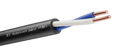 Кабель ВВГнг(А)-LS 2х4,0 ок(N)-0,66 АЛЮР 00-00005306
