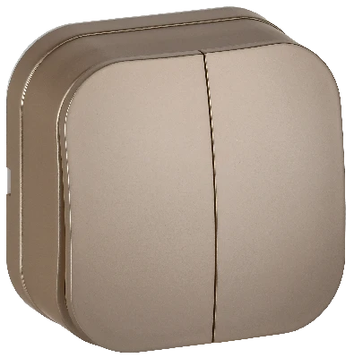 GLORY Выключатель 2-клавишный для открытой установки 10А ВС20-2-0-ХШм шампань матовый IEK