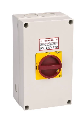 ГЛАВНЫЙ/АВАРИЙНЫЙ ВЫКЛЮЧАТЕЛЬ-РАЗЪЕДИНИТЕЛЬ 3P 100A ЗАКРЫТОГО ИСПОЛНЕНИЯ IP65